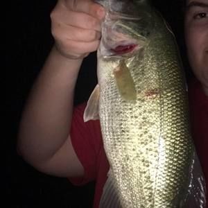 Meet your Posher, Austin